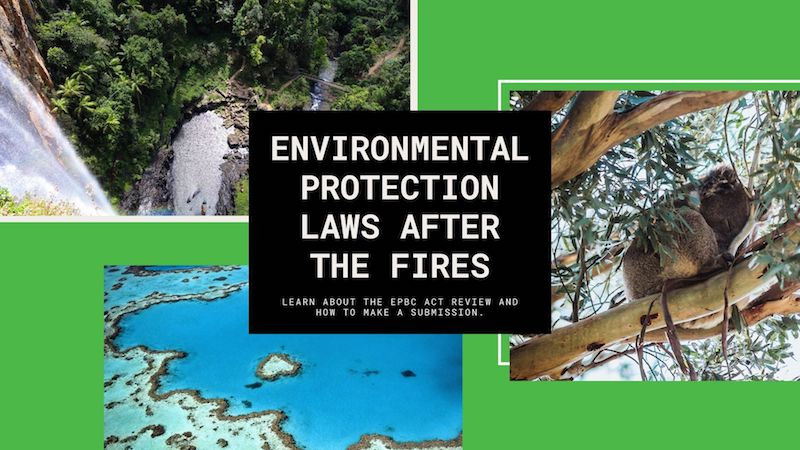 Environmental Protection Laws After The Fires: Learn About The EPBC Act Review And How To Make A Submission.