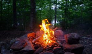 Virtual Campfire: A Green Institute Fundraiser