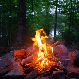 Virtual Campfire: A Green Institute Fundraiser