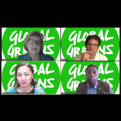 Global Greens Strengthening Democracy Network - Green Institute